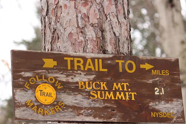 Buck Mt Lake George Hike