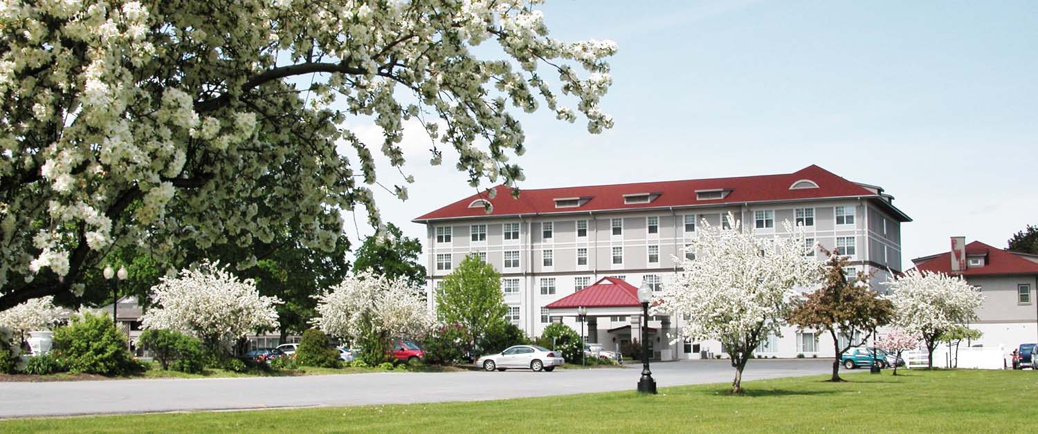 Spring Hotel