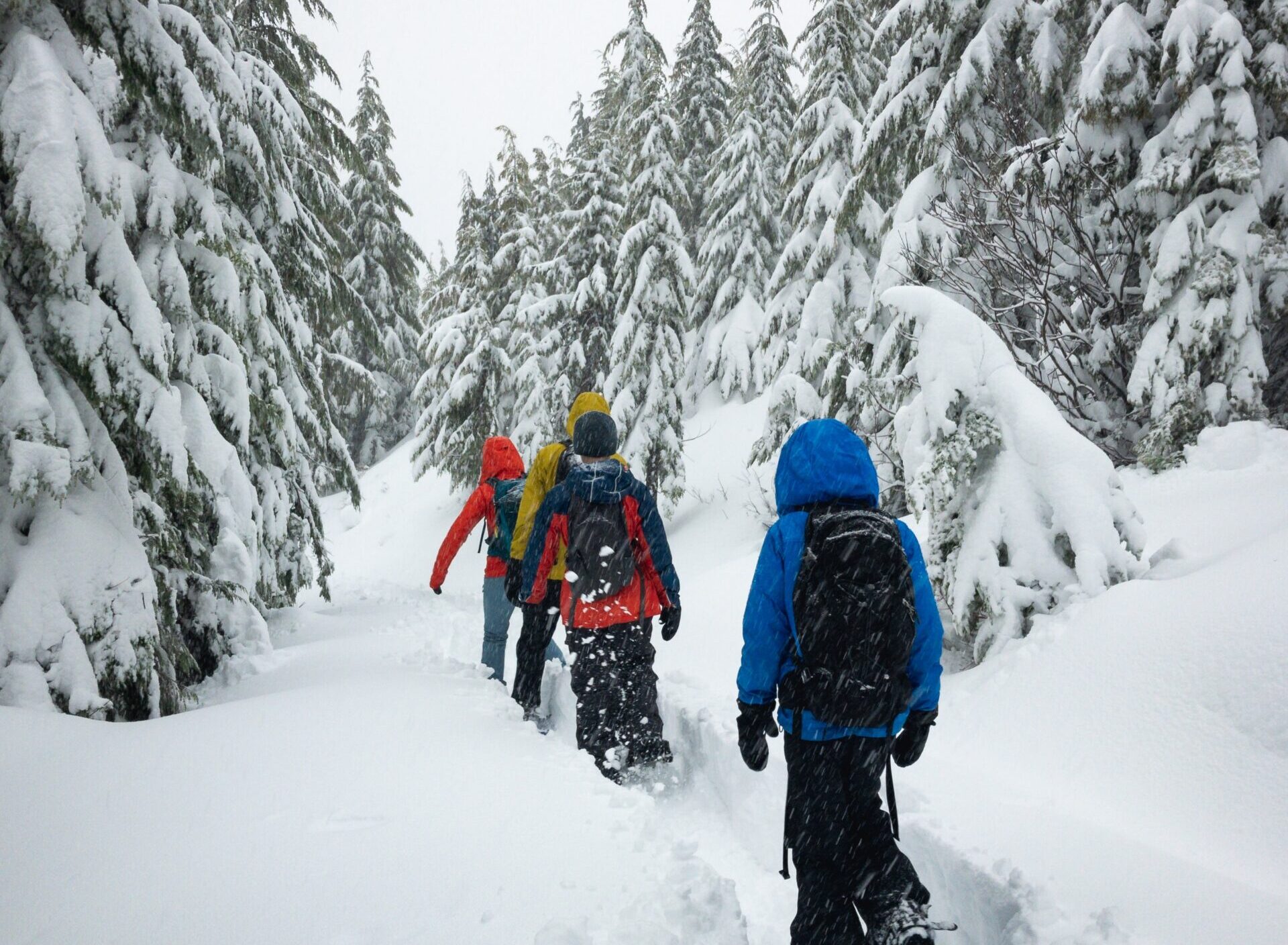 family hiking through the snow