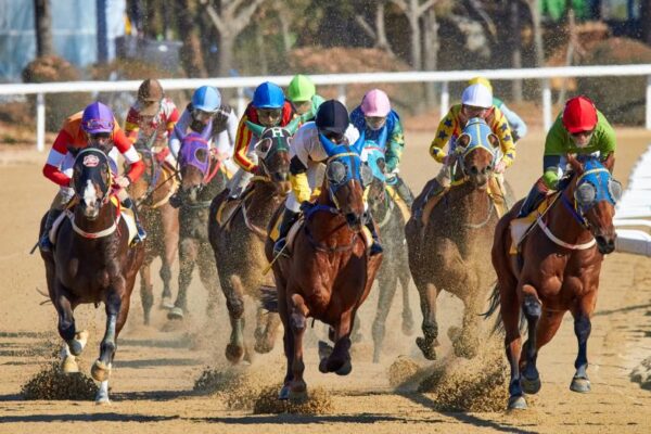 a horse race